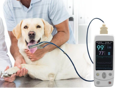 Veterinary Pulse Oximeters